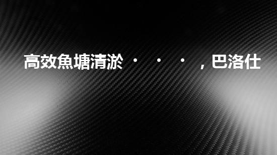 高效魚塘清淤，巴洛仕設(shè)備助力生態(tài)養(yǎng)殖